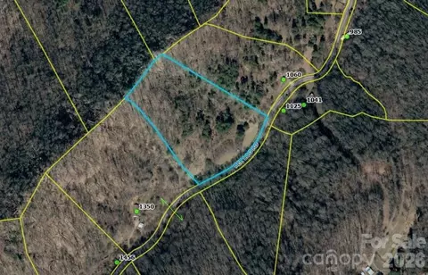 9999 Bee Log Rd, Burnsville, NC 28714