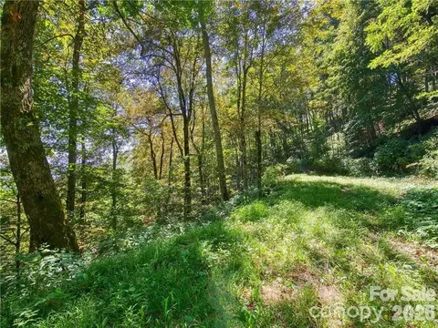 Unula E6 Loop #E6, Maggie Valley, NC 28751 photo 6