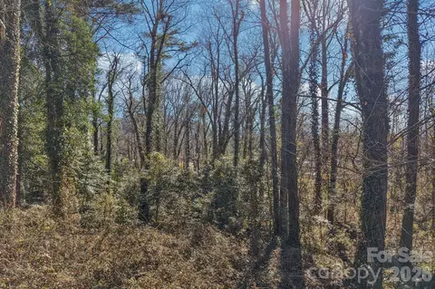 Other - 717375 Forest Dr, Clyde, NC 28721 photo 15 of 21