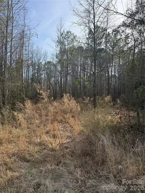 364 Longhorn Ln, Cheraw, SC 29520