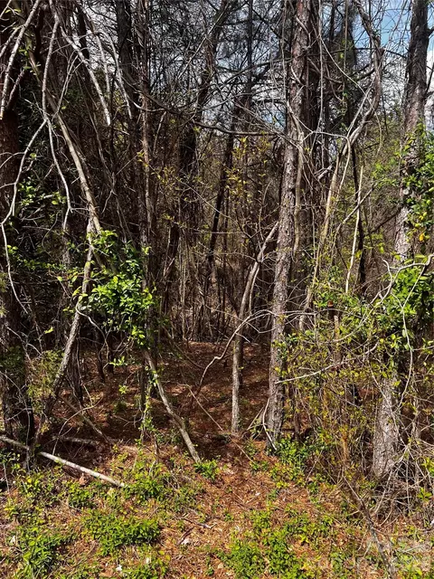 0000 Cemetery Loop, Hickory, NC 28601 photo 2