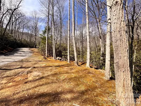 212 Harmony 1142 Ln #1142, Montreat, NC 28757