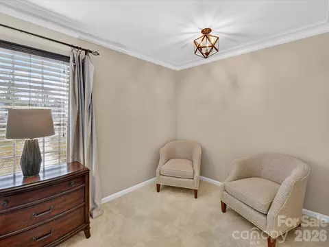 21209 Baltic Dr, Cornelius, NC 28031 photo 24