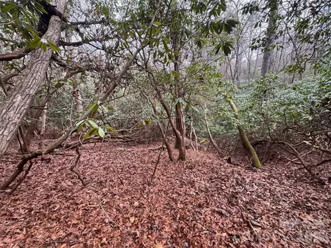 000 Falls Creek Ct, Pisgah Forest, NC 28768
