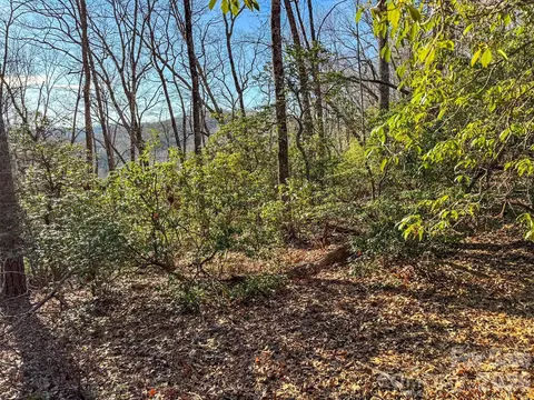 1647 Mills River Way, Horse Shoe, NC 28742