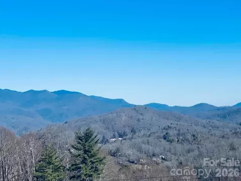 Other - 42 Nowhere Dr, Sylva, NC 28779 photo 17 of 20