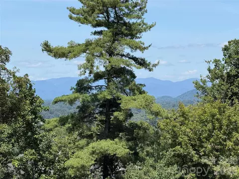 44 Leisure Mountain Rd, Asheville, NC 28804