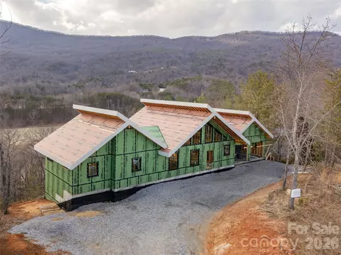 Other - 788 E Deep Gap Farm Rd, Mill Spring, NC 28756 photo 4 of 20