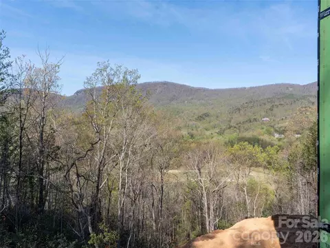 View/Area - 788 E Deep Gap Farm Rd, Mill Spring, NC 28756 photo 5 of 9