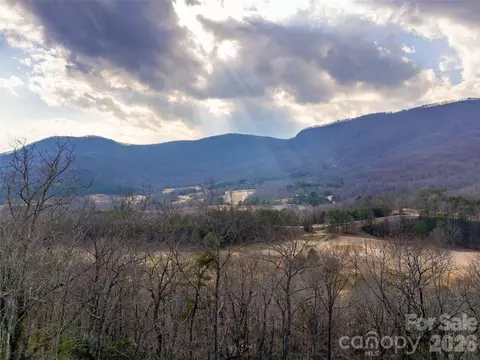 View/Area - 788 E Deep Gap Farm Rd, Mill Spring, NC 28756 photo 1 of 9