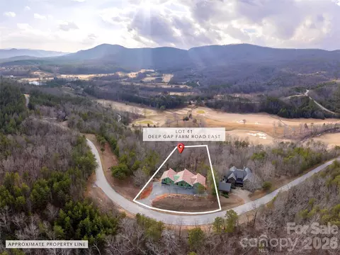 View/Area - 788 E Deep Gap Farm Rd, Mill Spring, NC 28756 photo 3 of 9