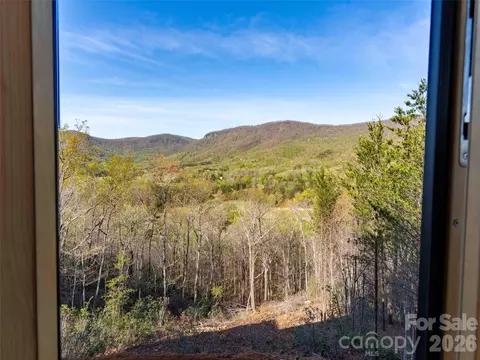 Other - 788 E Deep Gap Farm Rd, Mill Spring, NC 28756 photo 14 of 20