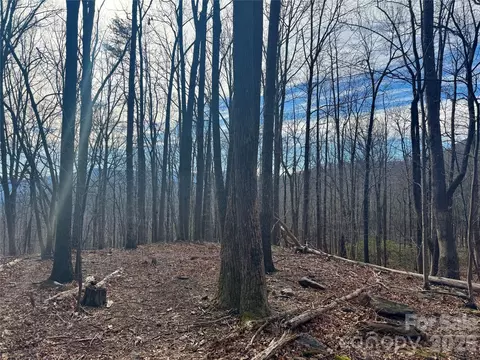 99999 Chesterfield 176 Dr #176, Mill Spring, NC 28756