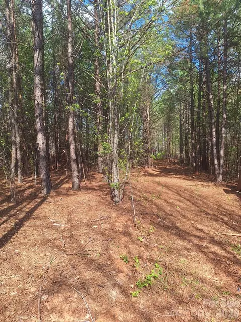 0 King Wilkinson 2 Rd #2, Denver, NC 28037