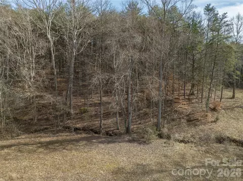 Ar Thompson Road, Mill Spring, NC 28756 photo 18
