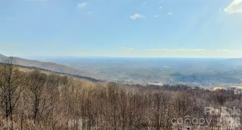 630 Spring Cove Ln, Mill Spring, NC 28756 photo 9