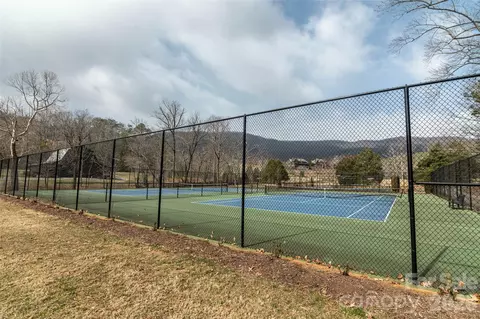 630 Spring Cove Ln, Mill Spring, NC 28756 photo 34