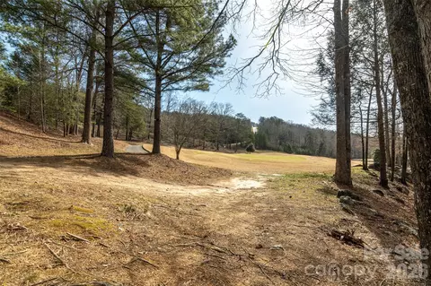630 Spring Cove Ln, Mill Spring, NC 28756 photo 36