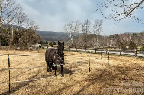 630 Spring Cove Ln, Mill Spring, NC 28756 photo 31