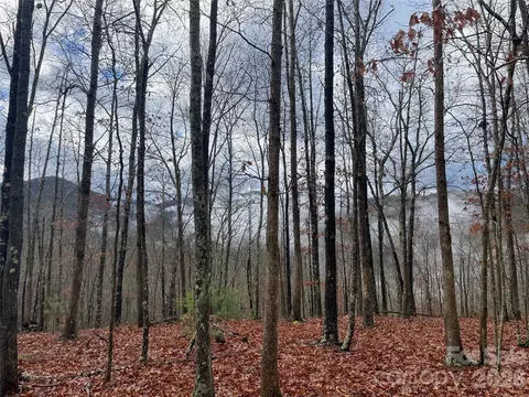 75 Wild Turkey 31 Loop #31, Marshall, NC 28753 photo 3