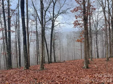 75 Wild Turkey 31 Loop #31, Marshall, NC 28753 photo 2