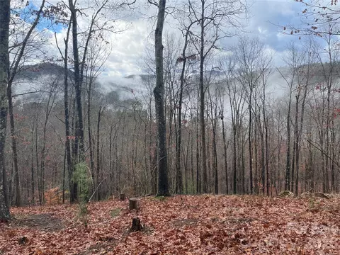 75 Wild Turkey 31 Loop #31, Marshall, NC 28753