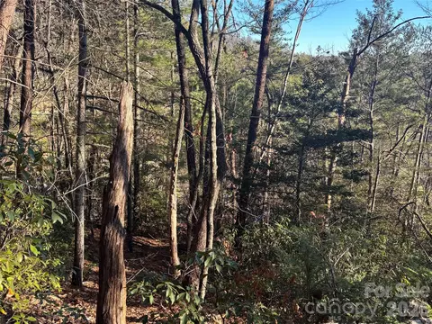 Nicklaus Lane, Lake Lure, NC 28746