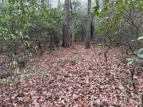 82 Deer Antler Road #82, Purlear, NC 28665 photo 12