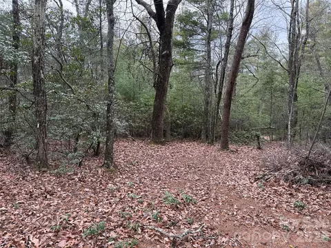 82 Deer Antler Road #82, Purlear, NC 28665 photo 5
