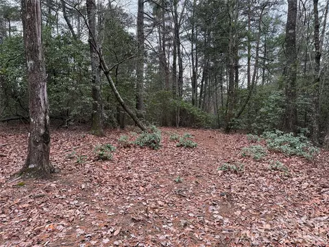 82 Deer Antler Road #82, Purlear, NC 28665 photo 2