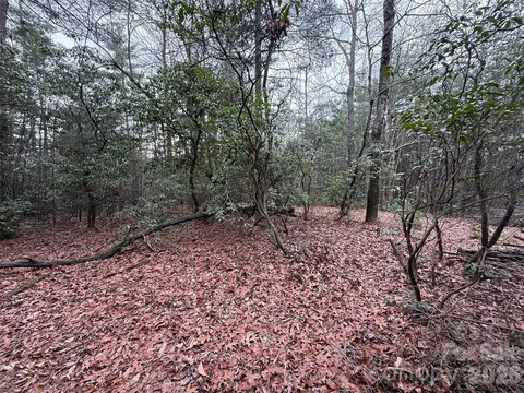 82 Deer Antler Road #82, Purlear, NC 28665 photo 13