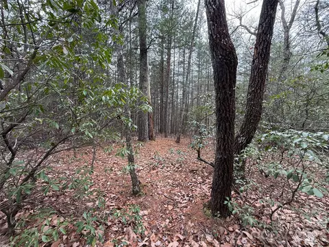 82 Deer Antler Road #82, Purlear, NC 28665 photo 6