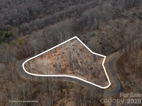 99999 Winterberry 11 Rd #11, Burnsville, NC 28714