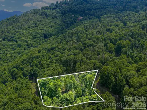 99999 Winterberry 11 Rd #11, Burnsville, NC 28714