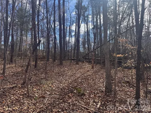 3924 Deer Run Ne Dr NE, Conover, NC 28613 photo 14
