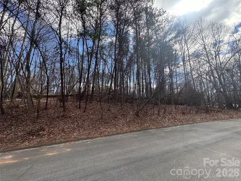 3924 Deer Run Ne Dr NE, Conover, NC 28613 photo 21
