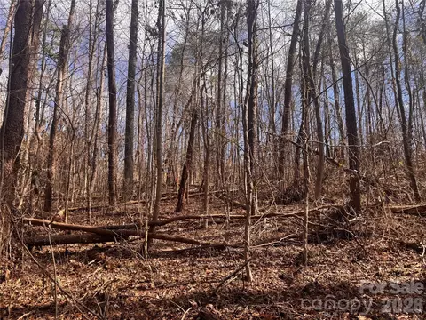 3924 Deer Run Ne Dr NE, Conover, NC 28613 photo 11