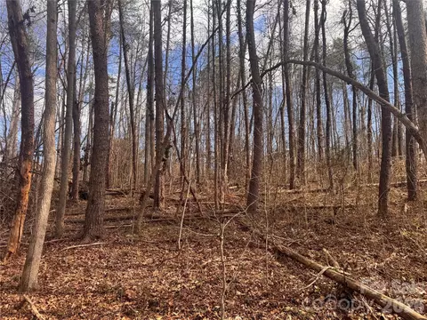 3924 Deer Run Ne Dr NE, Conover, NC 28613 photo 10