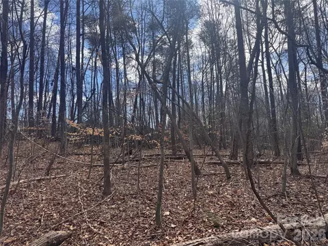 3924 Deer Run Ne Dr NE, Conover, NC 28613 photo 13