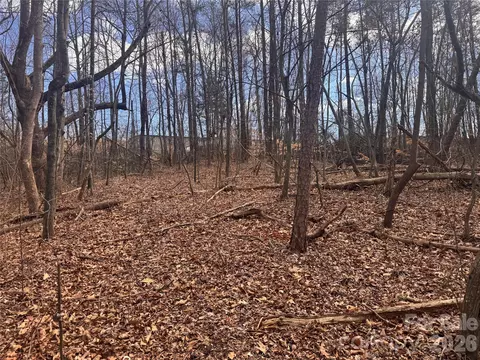 3924 Deer Run Ne Dr NE, Conover, NC 28613 photo 12