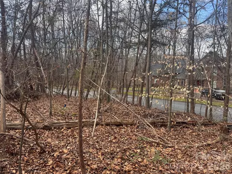 3924 Deer Run Ne Dr NE, Conover, NC 28613 photo 19