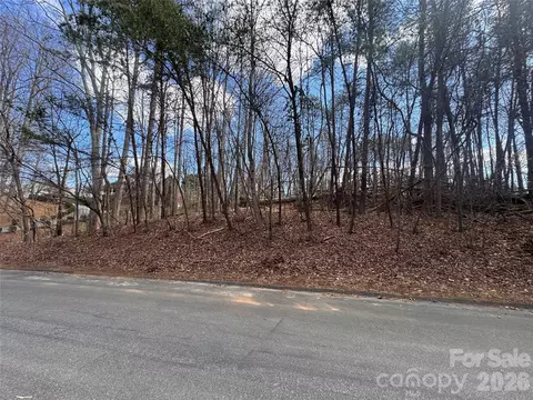 3924 Deer Run Ne Dr NE, Conover, NC 28613 photo 20