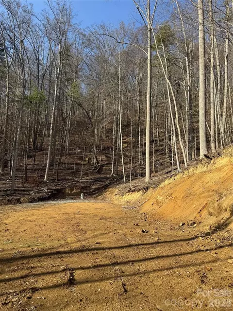 890 Fisher Branch Rd, Marshall, NC 28753