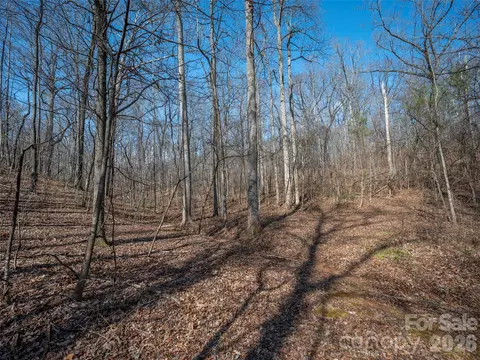 0000 Judge Rd, Tryon, NC 28782 photo 19