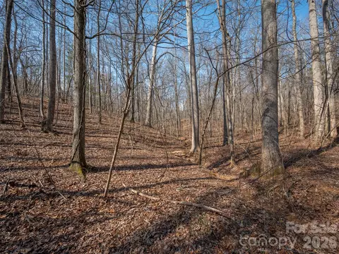 0000 Judge Rd, Tryon, NC 28782 photo 21