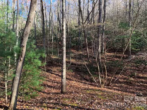 Dugger Firetower 1 Road #1, Lenoir, NC 28645