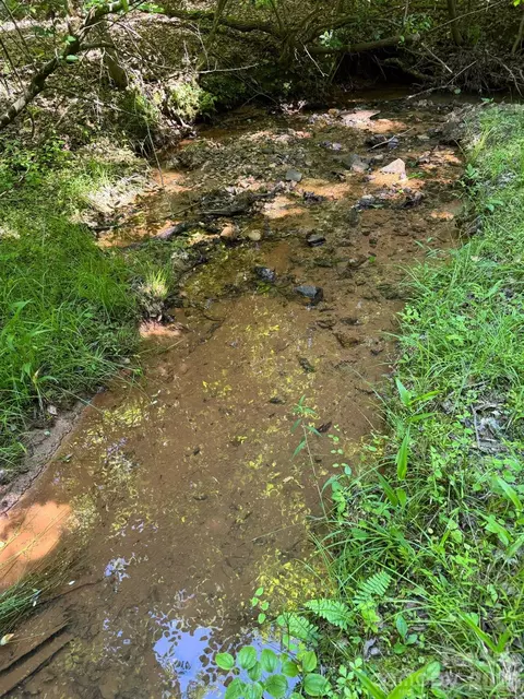 Billings Hill Church Road, Traphill, NC 28683