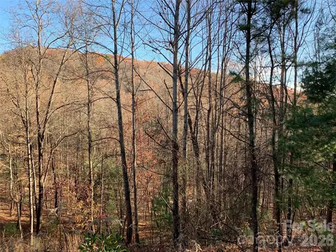 4 Wolf Den Lane #4, Lenoir, NC 28645