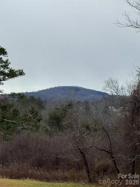 Other - 12544 Traphill Rd, Traphill, NC 28685 photo 7 of 19