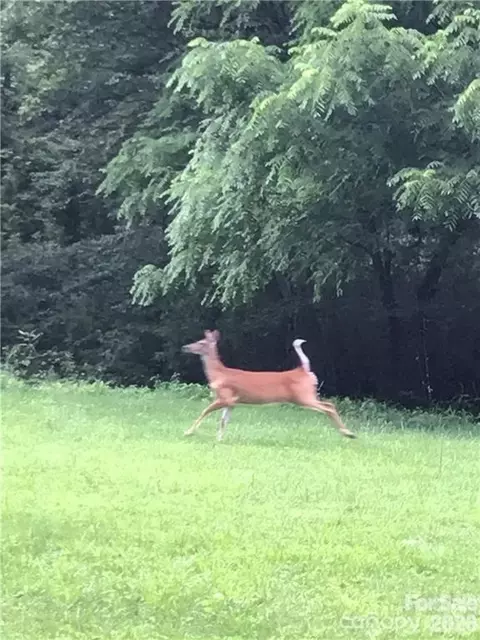 19 Laurel Loop Rd, Fairview, NC 28730